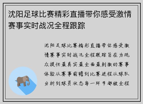 沈阳足球比赛精彩直播带你感受激情赛事实时战况全程跟踪